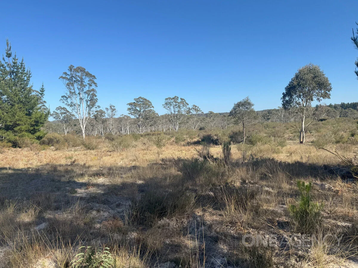 Additional image 3 of 1588 Oallen Ford Road, Oallen NSW 2622