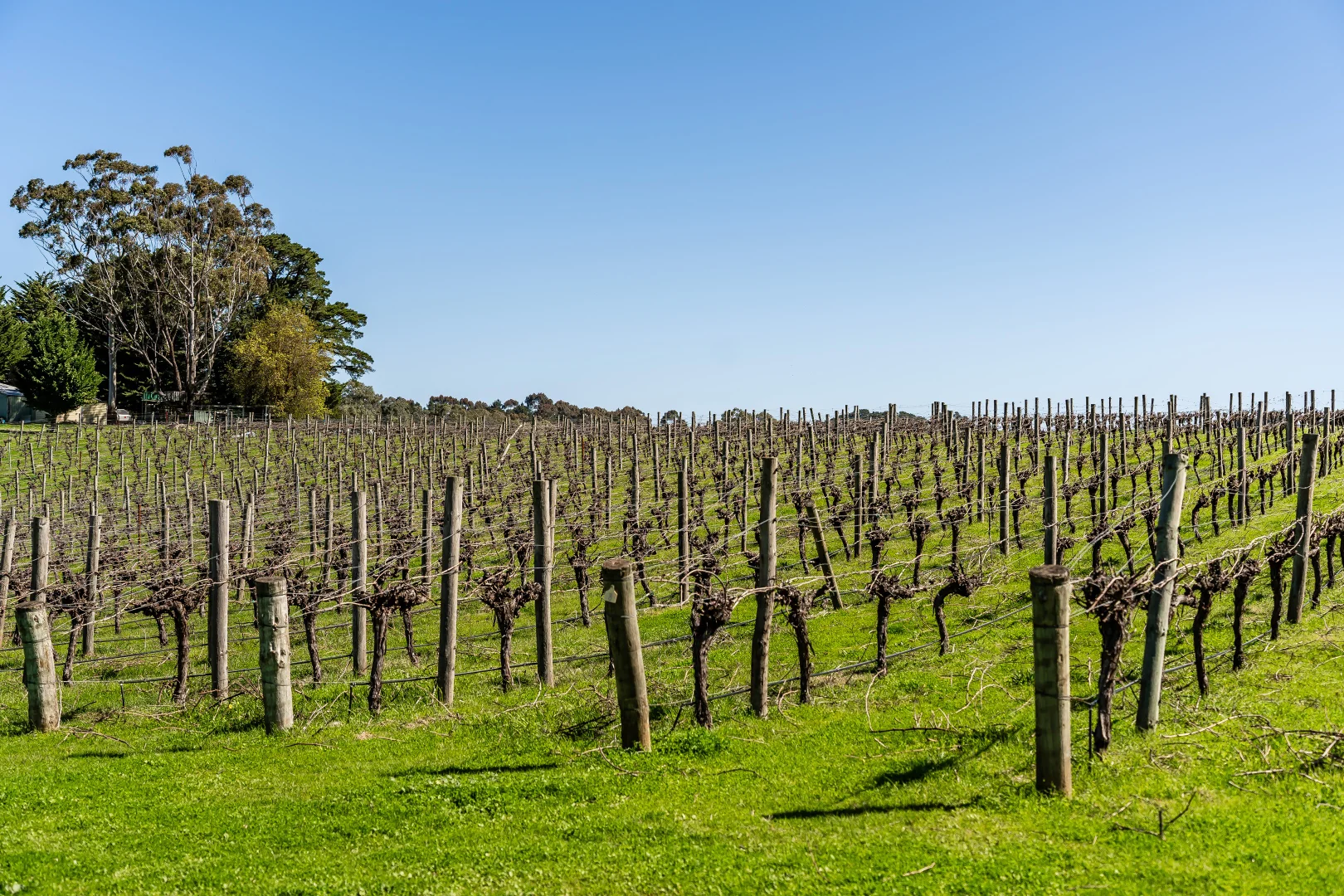 Additional image 21 of 144 Murray Road, Paracombe SA 5132