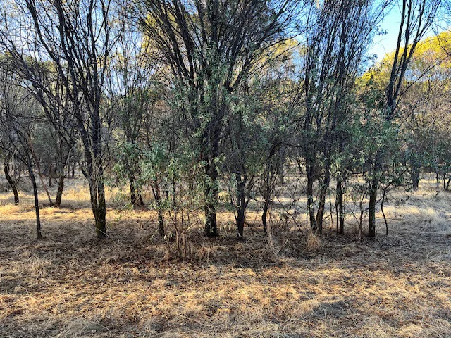 Additional image 26 of 964 Dobaderry Road, Beverley WA 6304