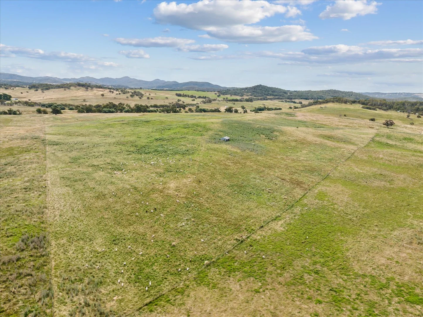 Additional image 4 of 4436 Jerangle Road, Captains Flat NSW 2623