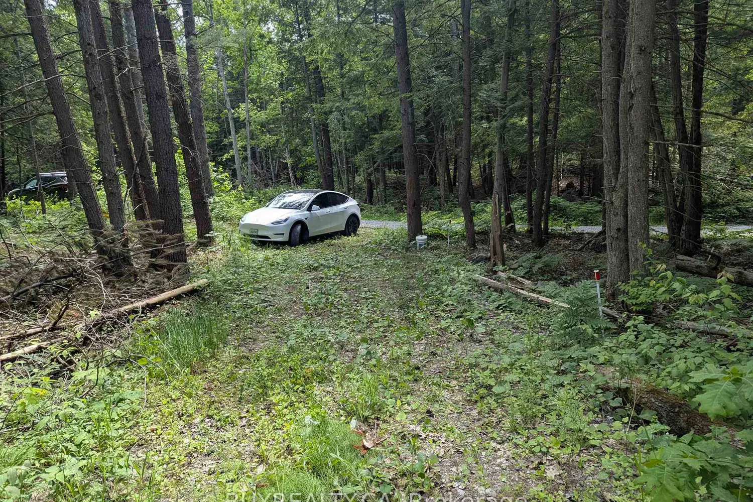 Additional image 8 of 2318 Sherwood Forest Lane