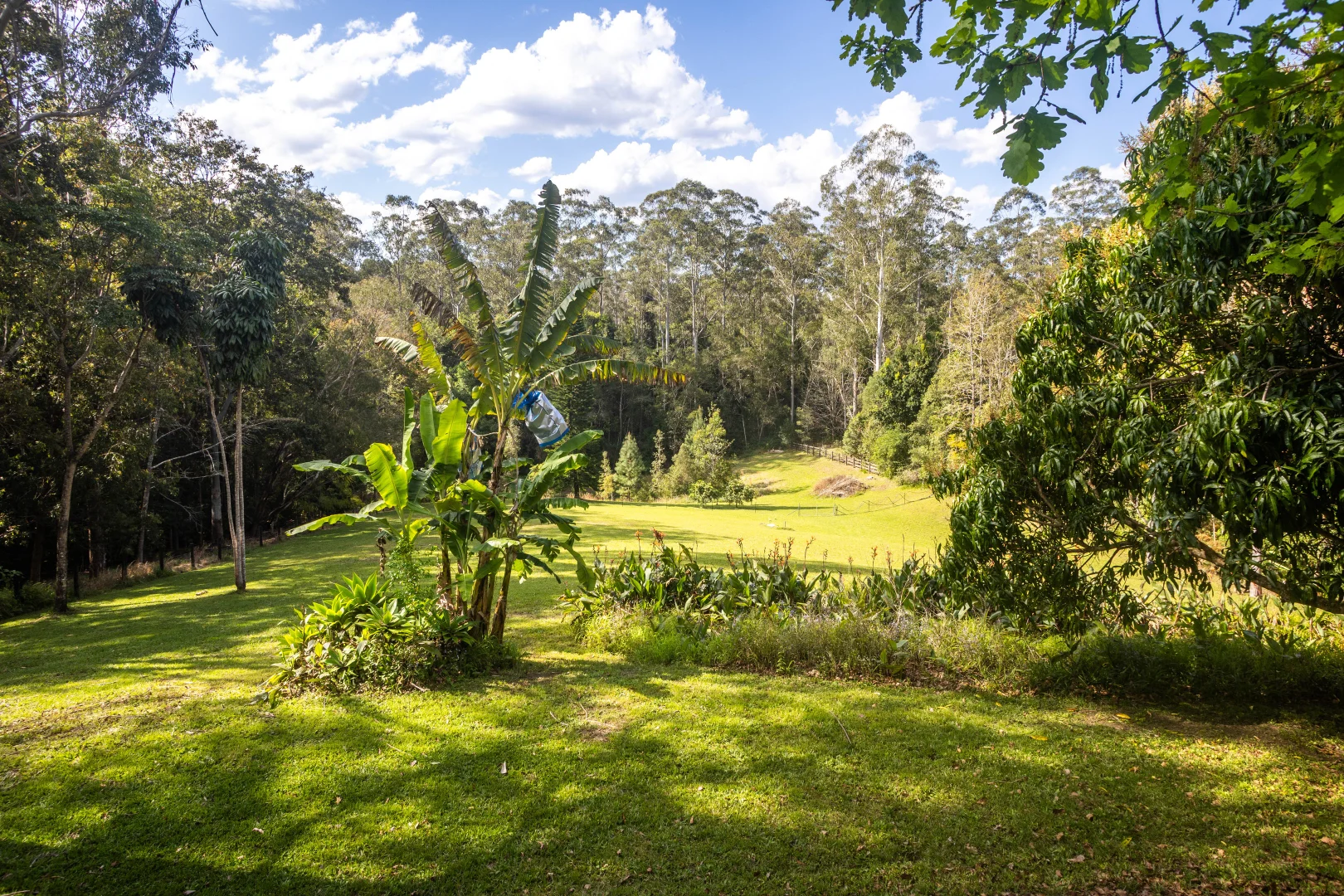 Additional image 24 of 56 Sunset Ridge Drive, Bellingen NSW 2454