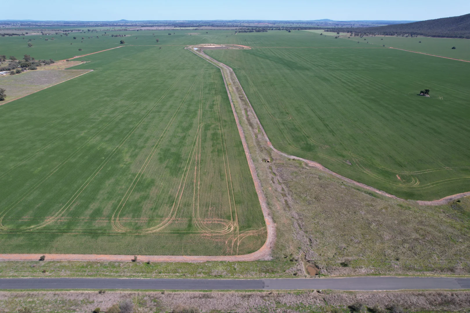 Additional image 15 of 2190 Yarrabandai Road, Trundle NSW 2875