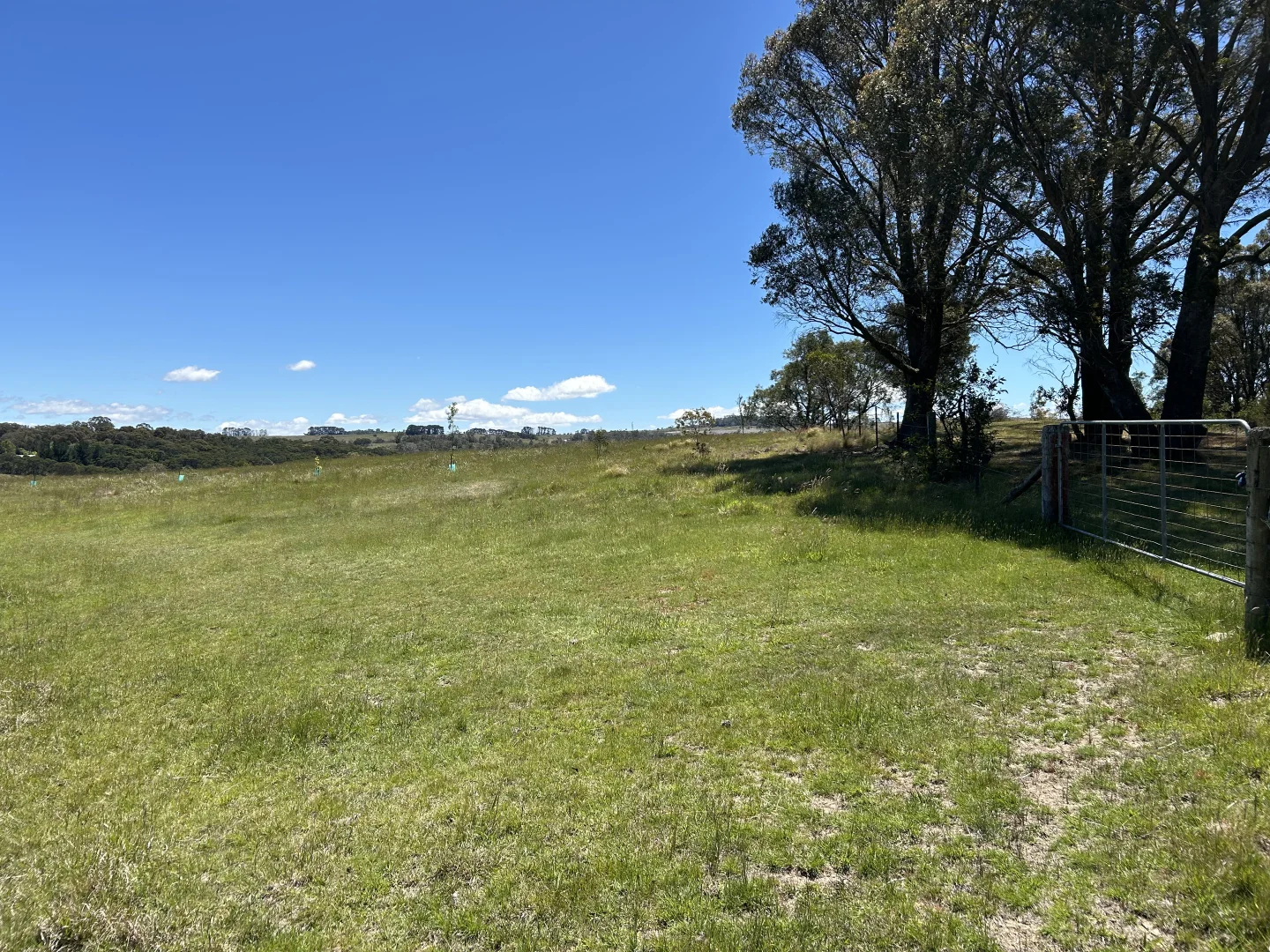 Additional image 4 of 1202 Majors Creek Road, Majors Creek NSW 2622