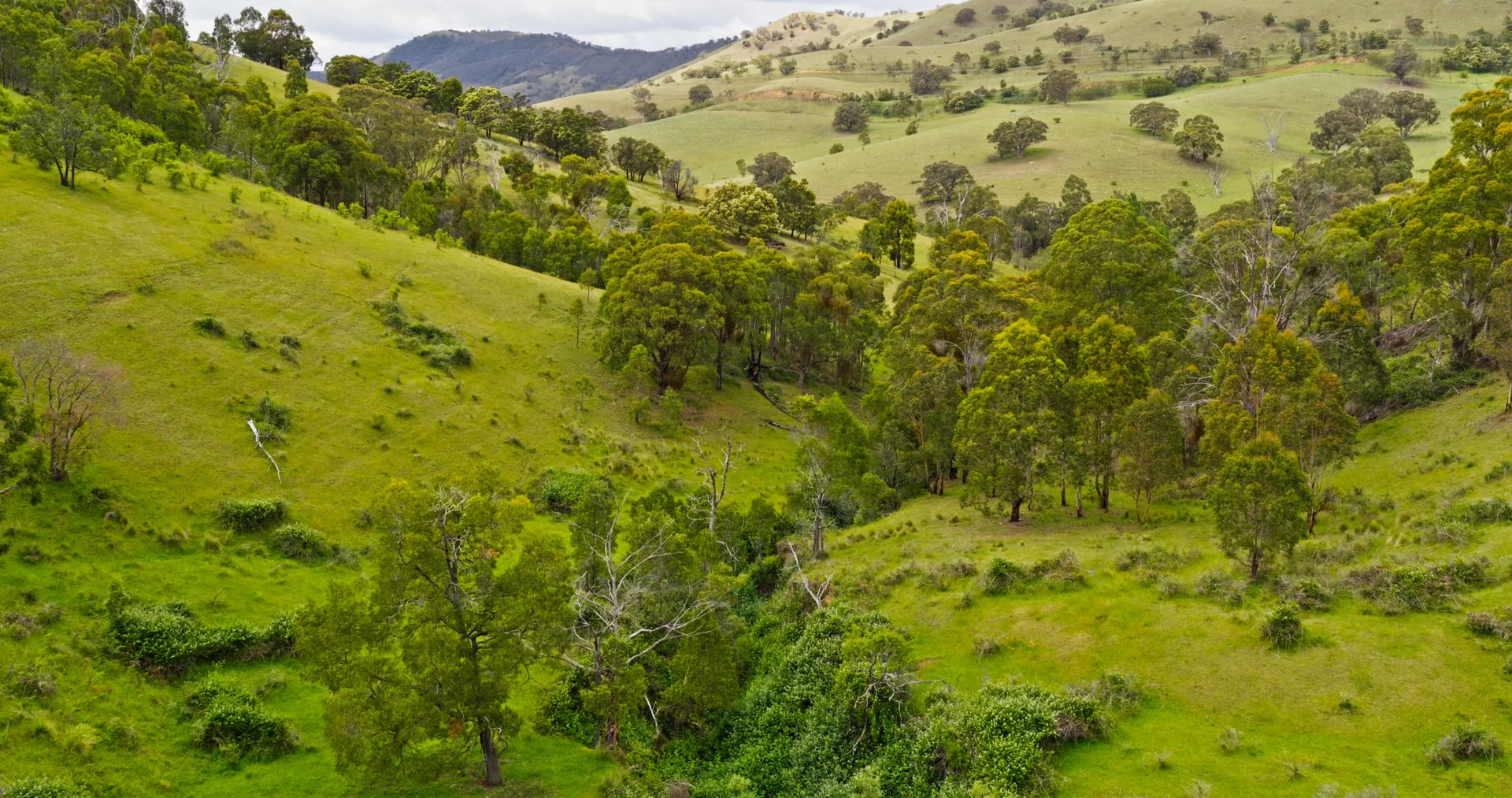 Additional image 9 of Lot 3 - 289 Tongio Gap Road, Tongio VIC 3896