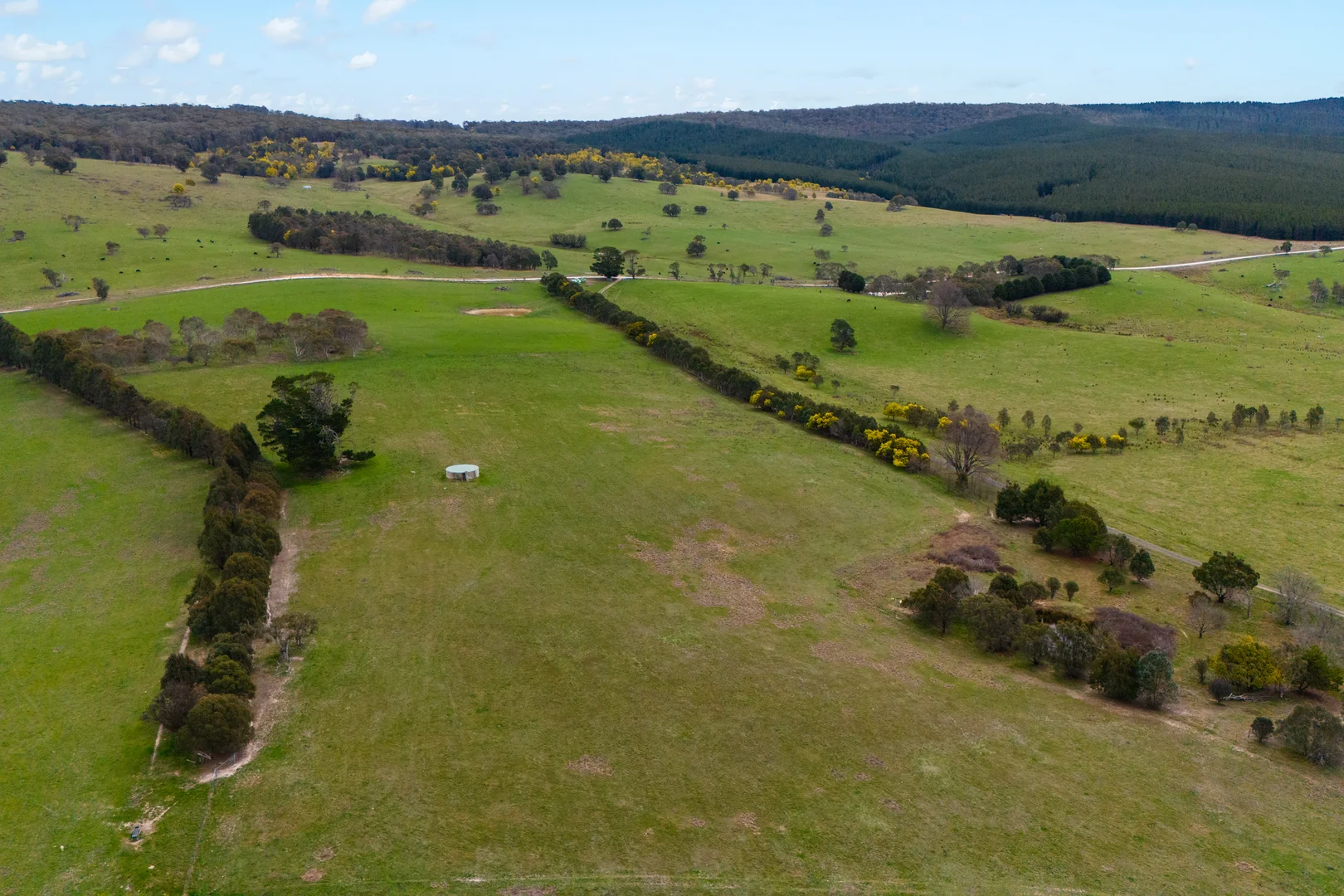 Additional image 13 of 171 Big Flat Road, Bombala NSW 2632
