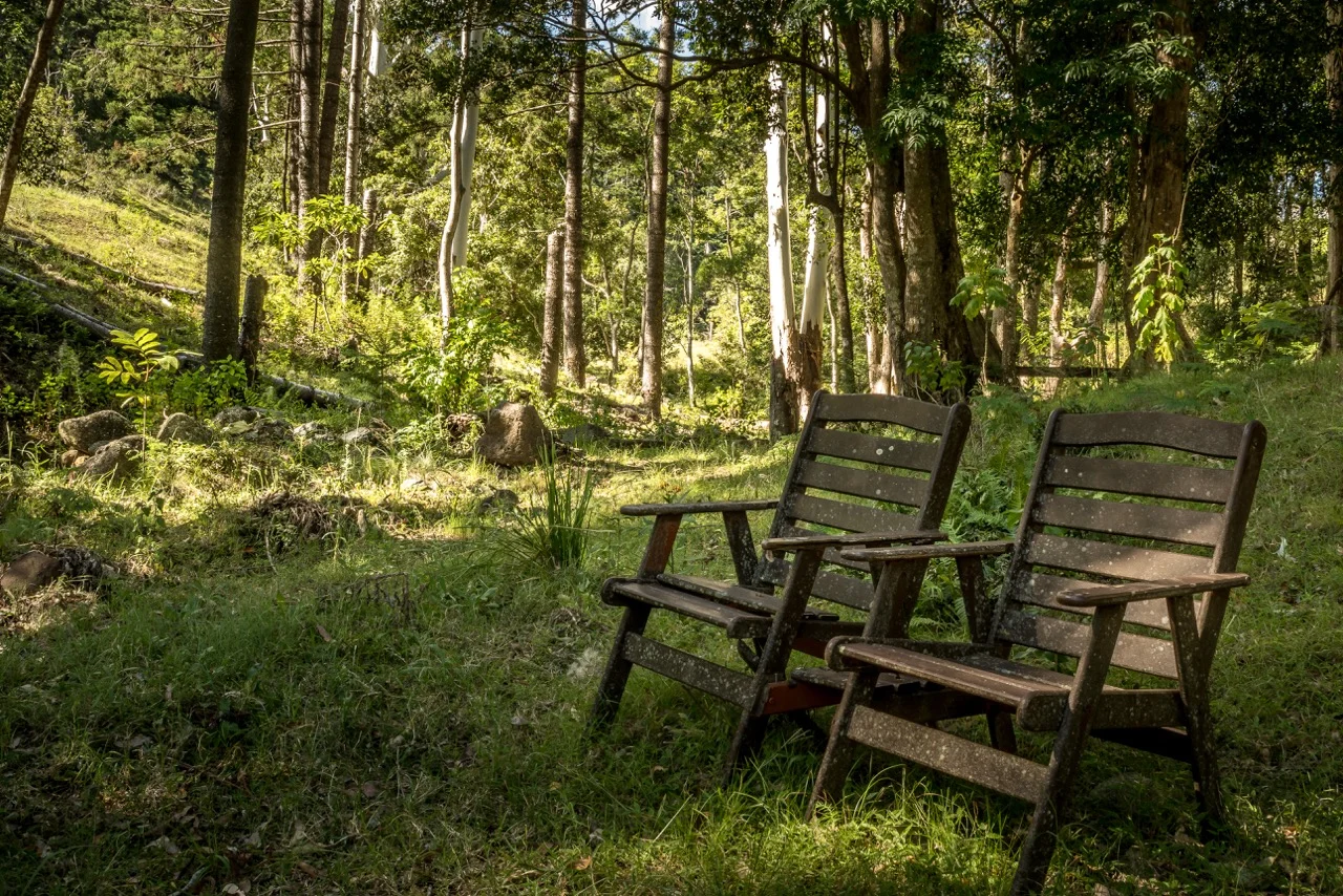 Additional image 3 of 2 Mount Gipps, Mount Gipps QLD 4285