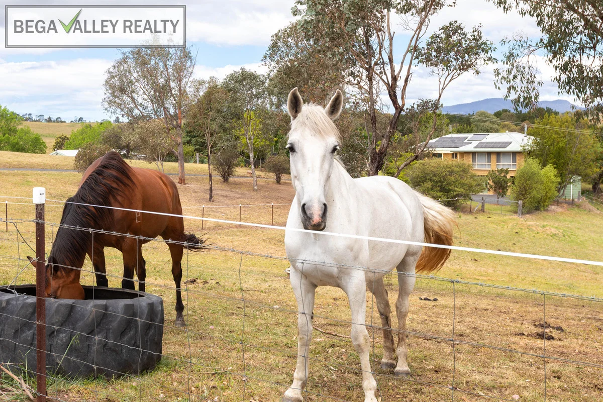 Additional image 36 of 5 Springfield Road, Kameruka NSW 2550