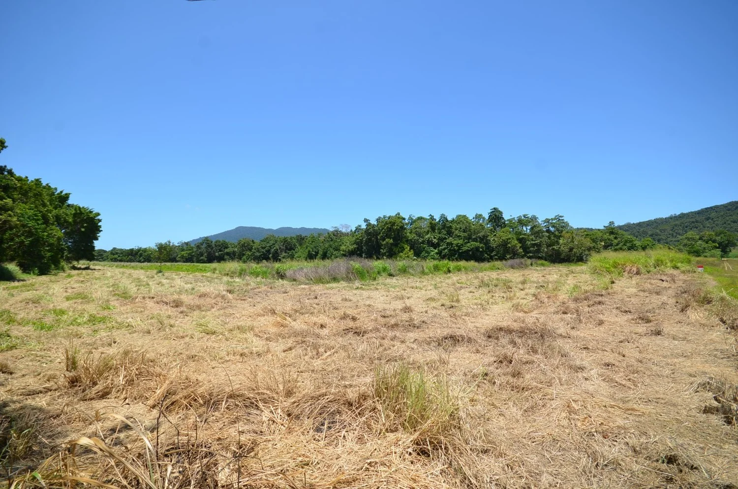 Additional image 2 of Lot 9&10 Kruckow Road, East Russell QLD 4861