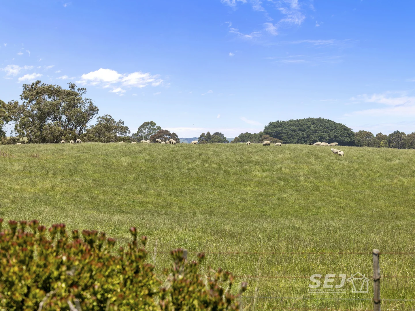 Additional image 27 of 155 Coulters Road, Mardan VIC 3953