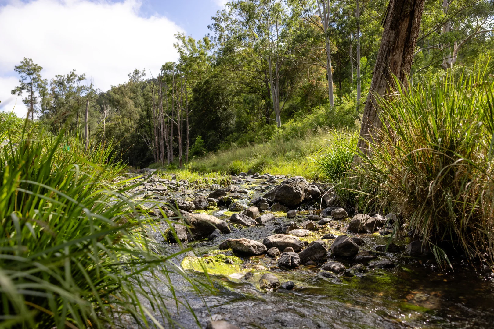Additional image 5 of 382 Norwood Lane, Mount George NSW 2424