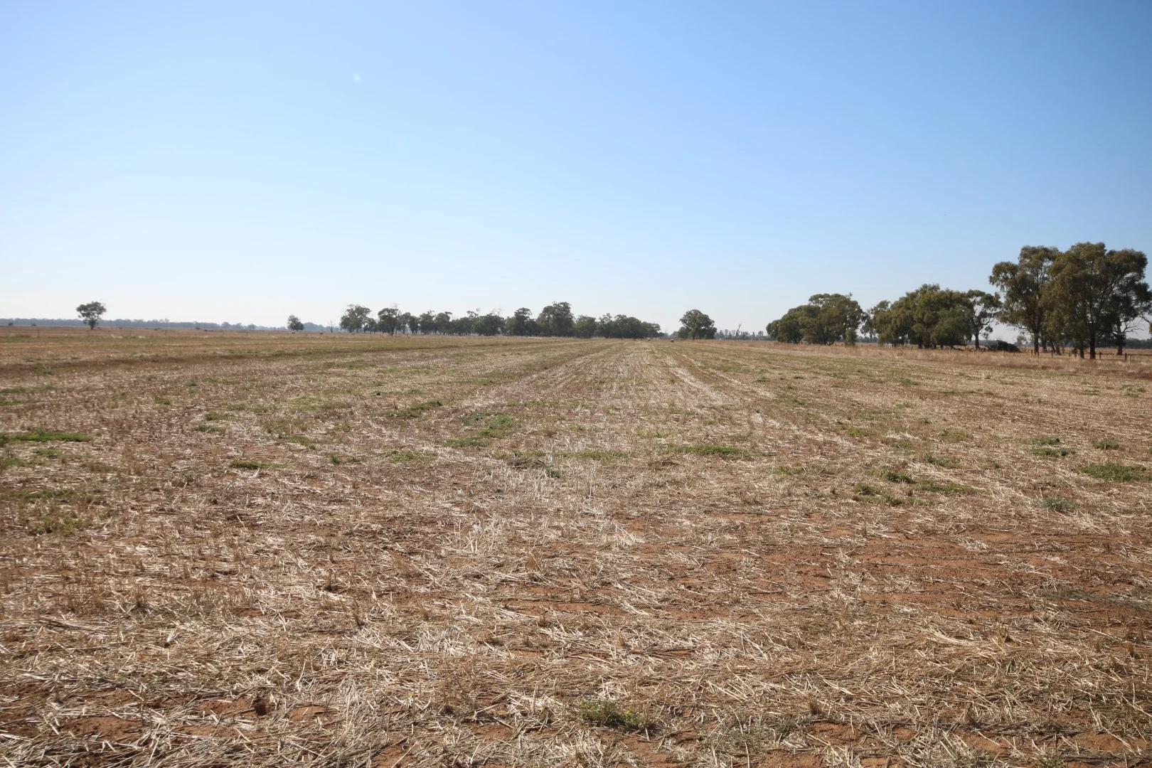 1670 Whinfield Road, Kotta VIC 3565