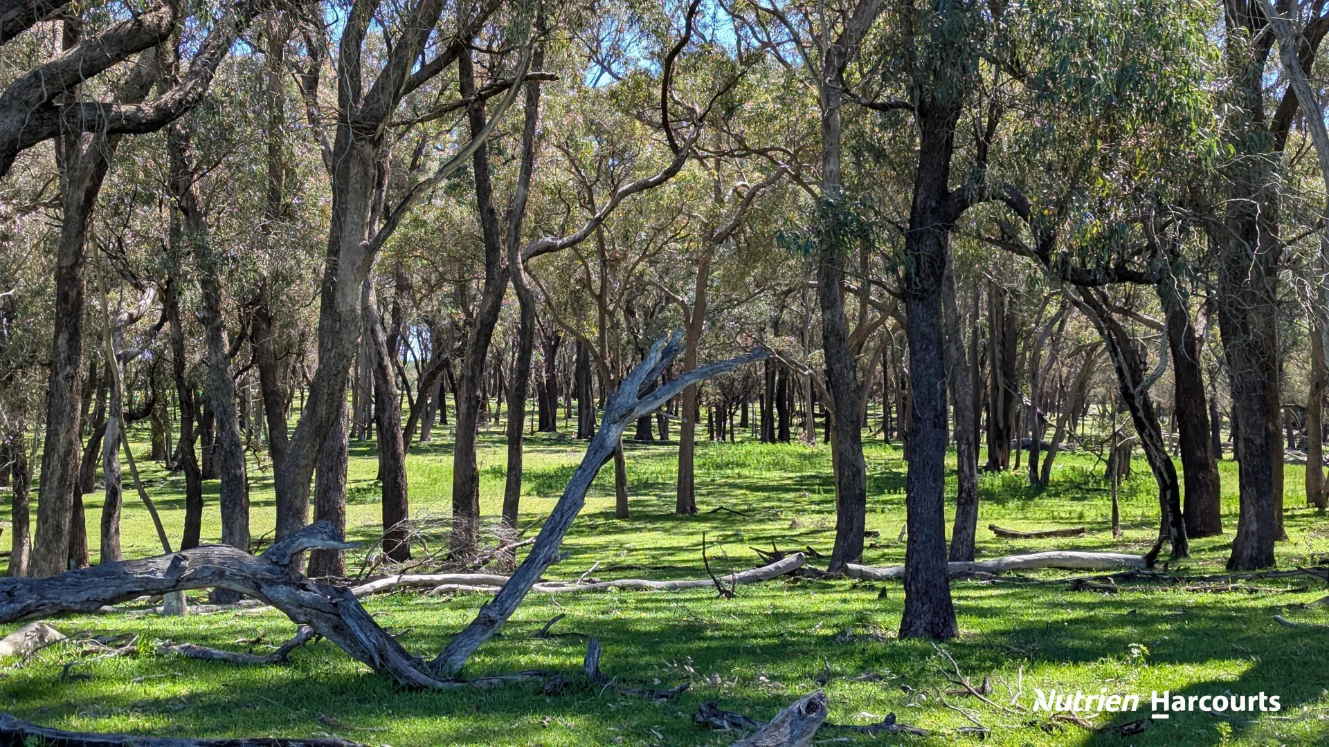 Additional image 26 of Lot 53 Cowalla Road, Cowalla WA 6503