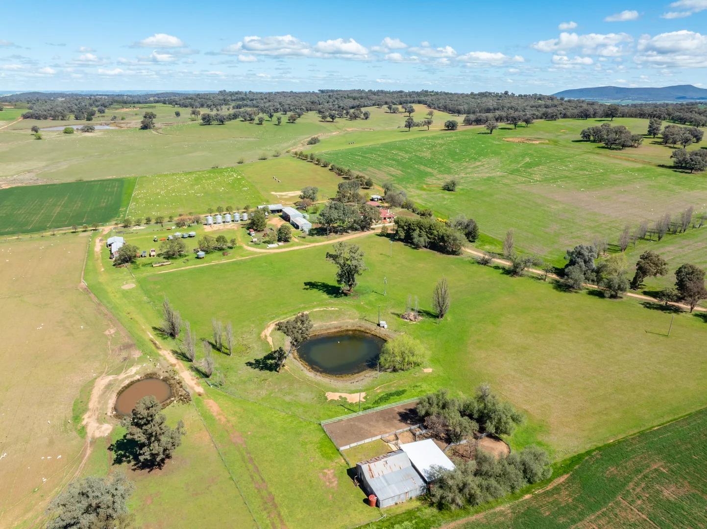 Additional image 29 of 100 Grahams Lane, Grenfell NSW 2810