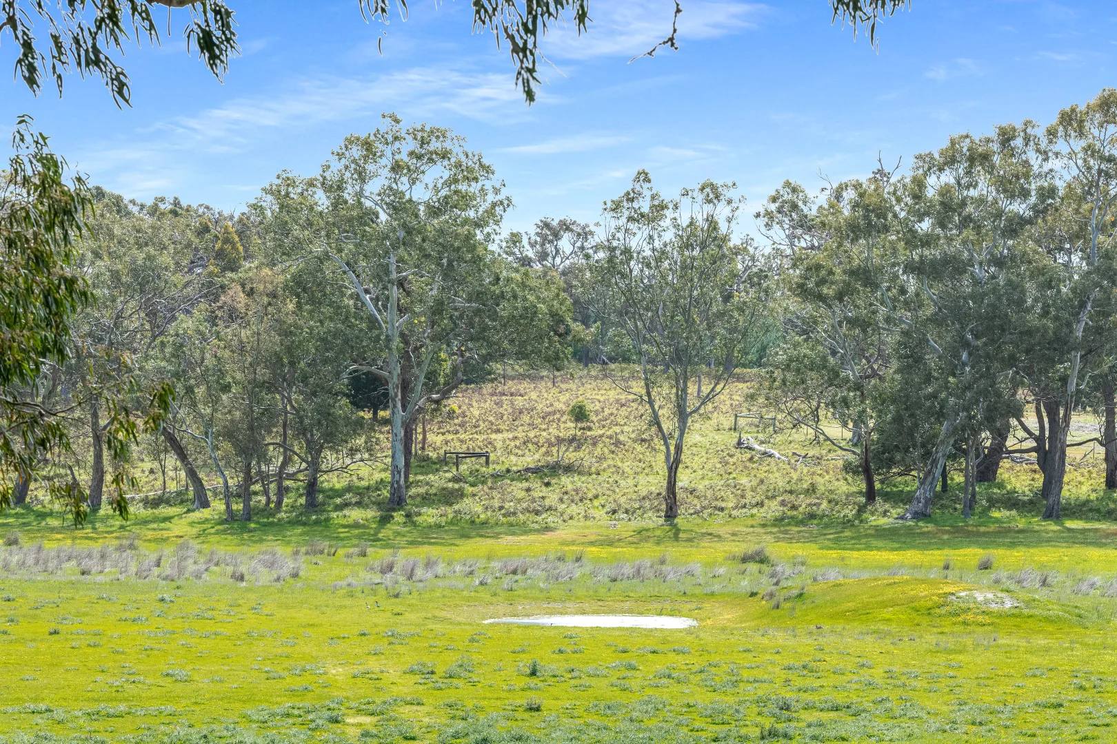 Additional image 35 of 1242 Old Comaum Rd, Coonawarra SA 5263