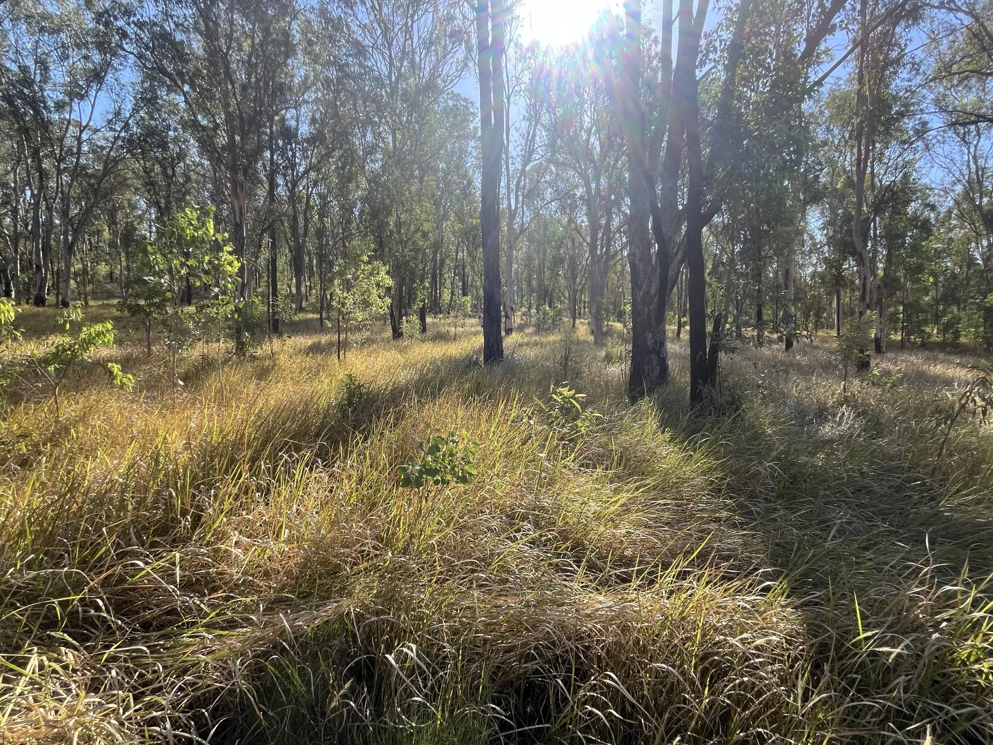 Additional image 4 of 2291 Willi Willi Rd, Moparrabah NSW 2440