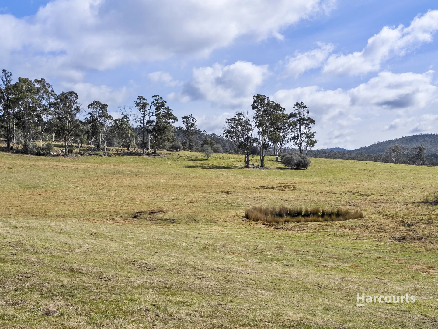 Additional image 12 of Lot 1/4115 Tasman Highway, Runnymede TAS 7190