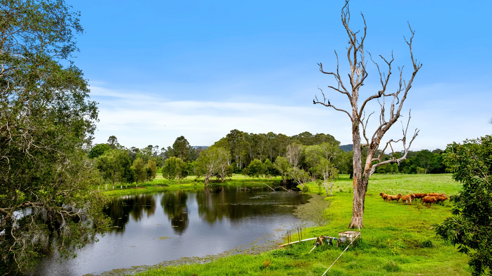 Additional image 6 of 6 Canando Street, Woodford QLD 4514