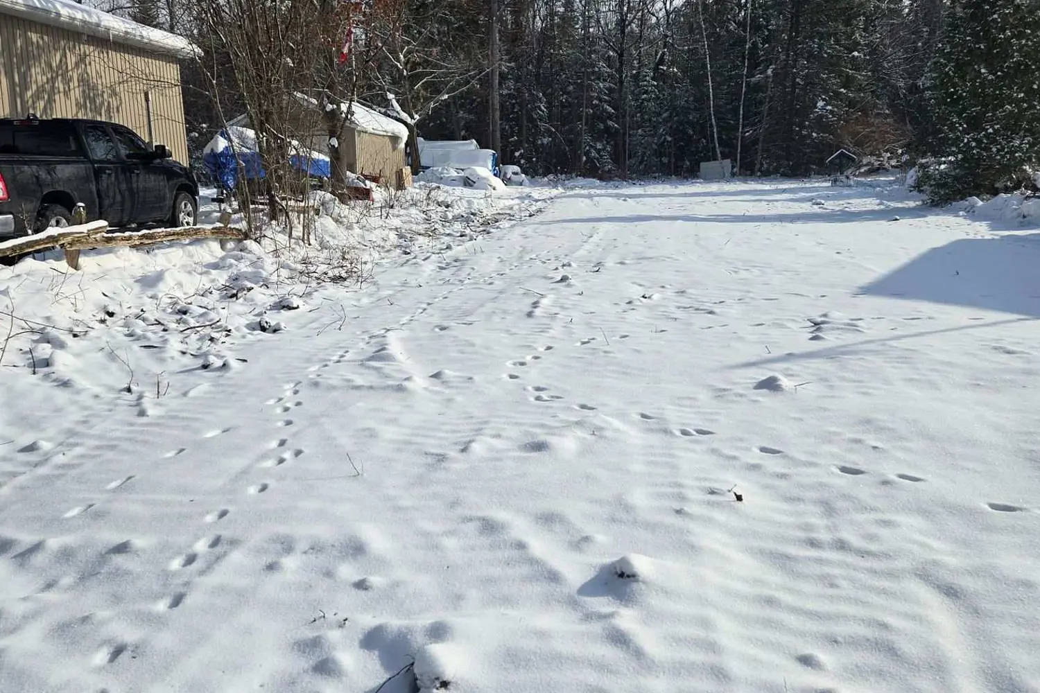 Additional image 4 of 77 Antiquary Beach Road