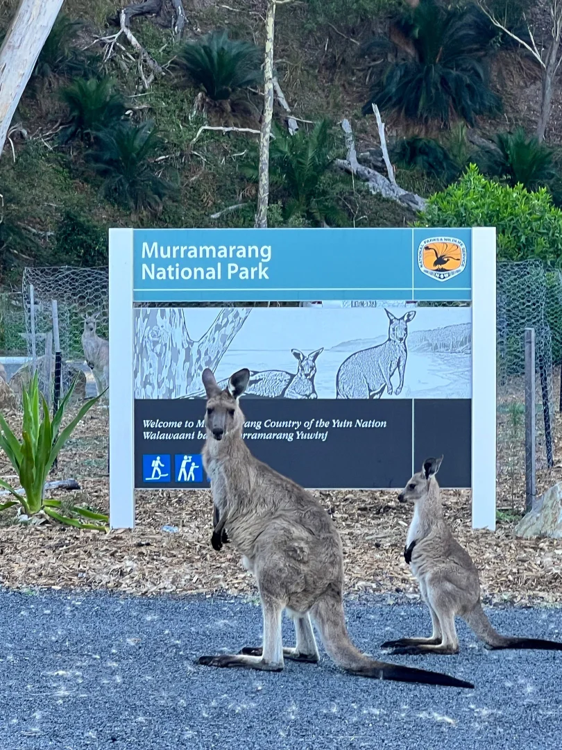 Additional image 31 of 110 Maloneys Drive, Maloneys Beach NSW 2536