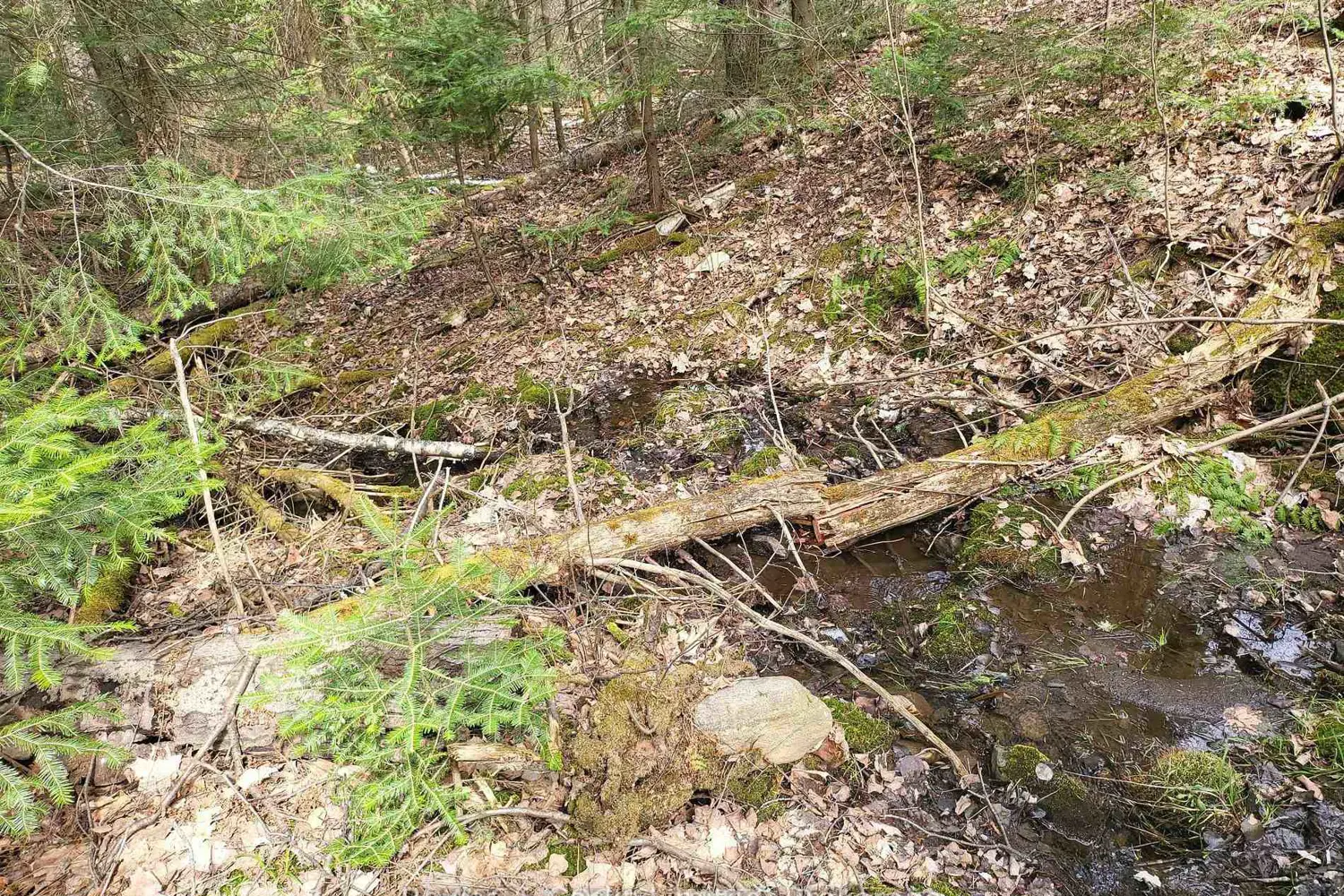 Additional image 3 of 0 Highway 62 N