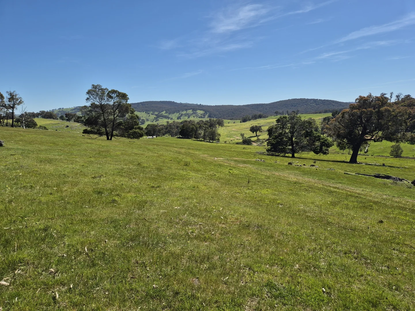 Additional image 27 of 665 Fernhills Road, Marraweeney VIC 3669