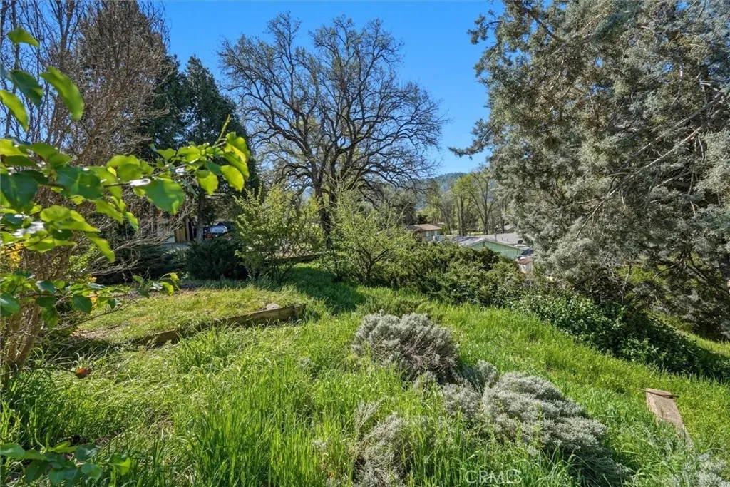 Additional image 29 of 40888 Goldside Dr, Oakhurst, CA 93644