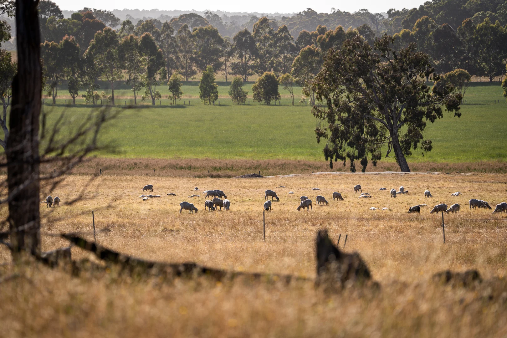 Additional image 13 of 89 Worgan Road, Metricup WA 6280