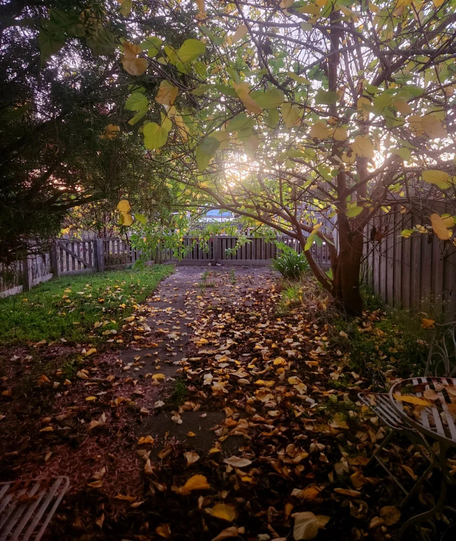 Additional image 25 of 72 DOUGHERTIES ROAD, Portland West VIC 3305