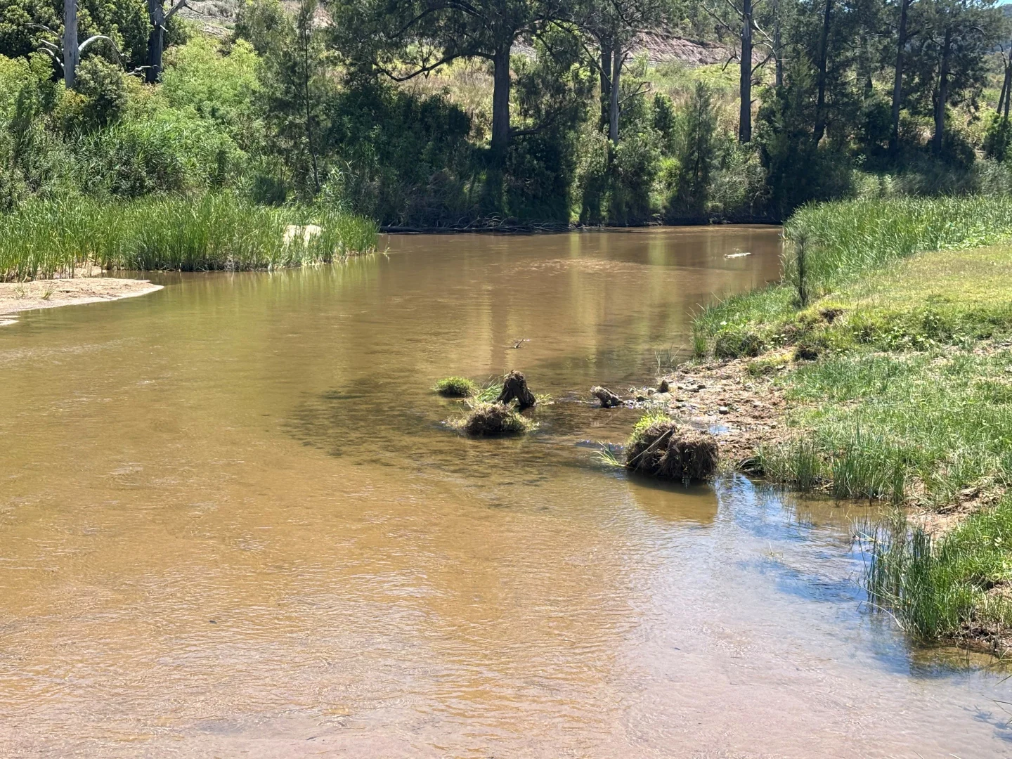 Additional image 2 of 2080 Bylong Valley Way, Baerami NSW 2333