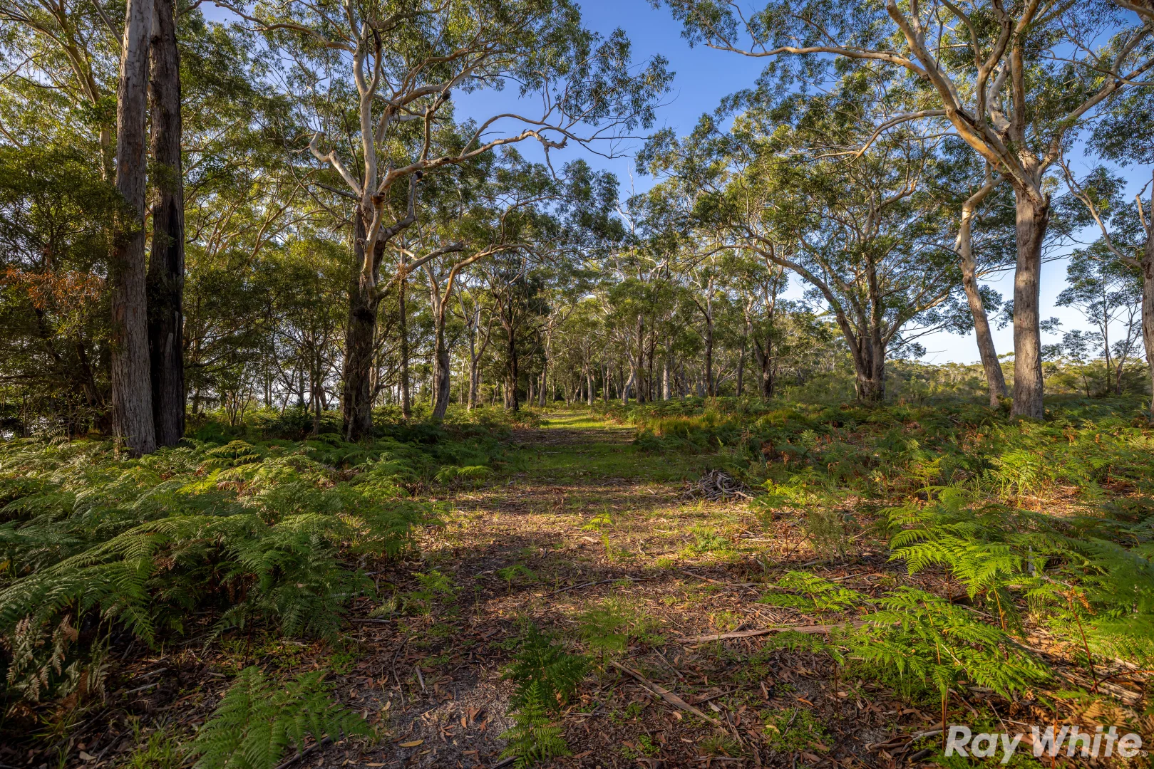 Additional image 9 of Lot 3 Wallis Island, Forster NSW 2428