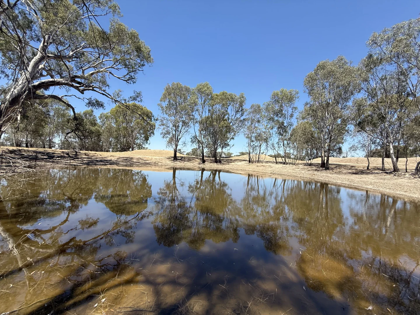 Additional image 7 of Cnr Clohessy Road and Escort Bridge Road, Norong VIC 3682