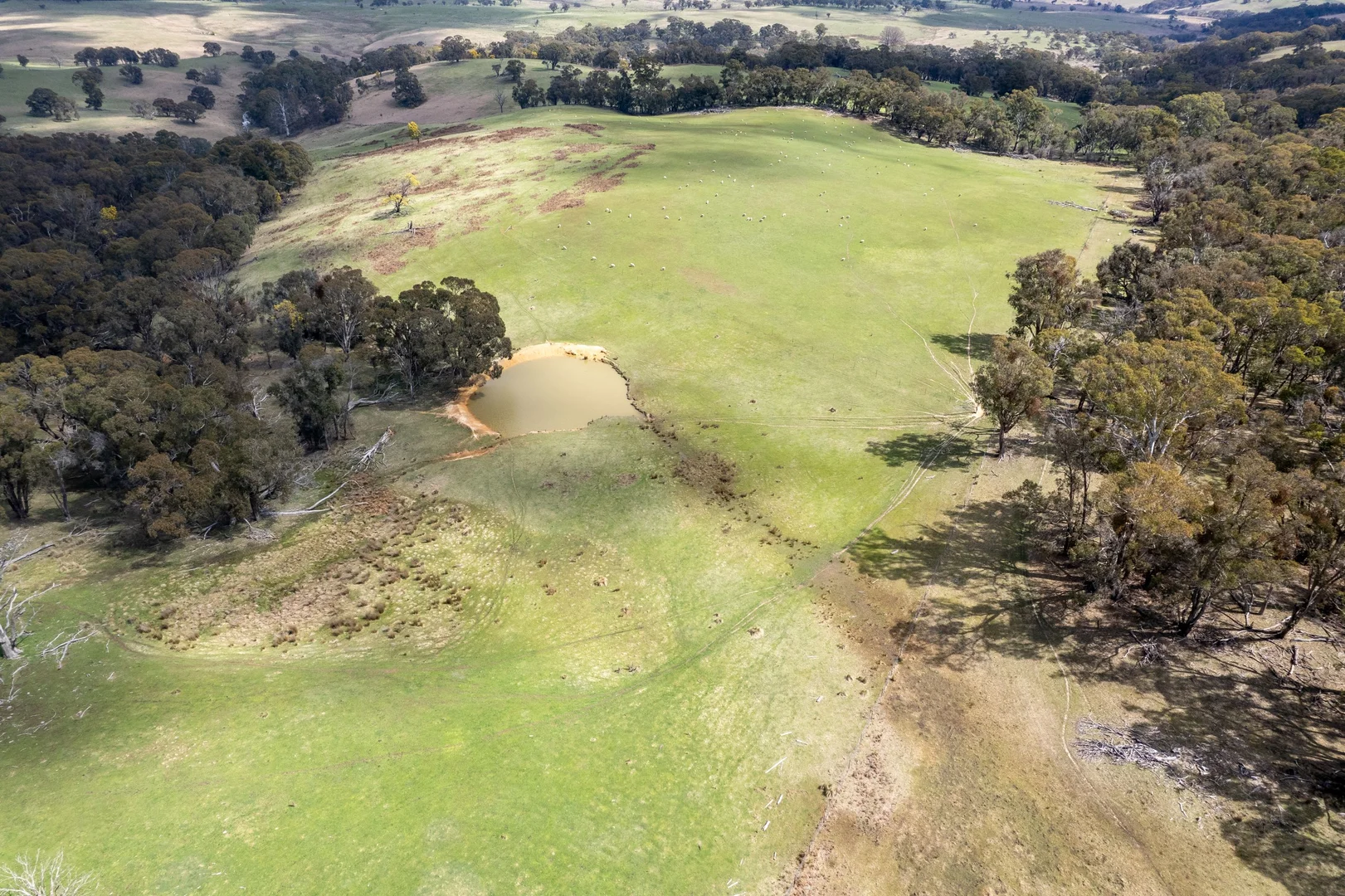 Additional image 21 of 6906 Boorowa Road, Lost River NSW 2583