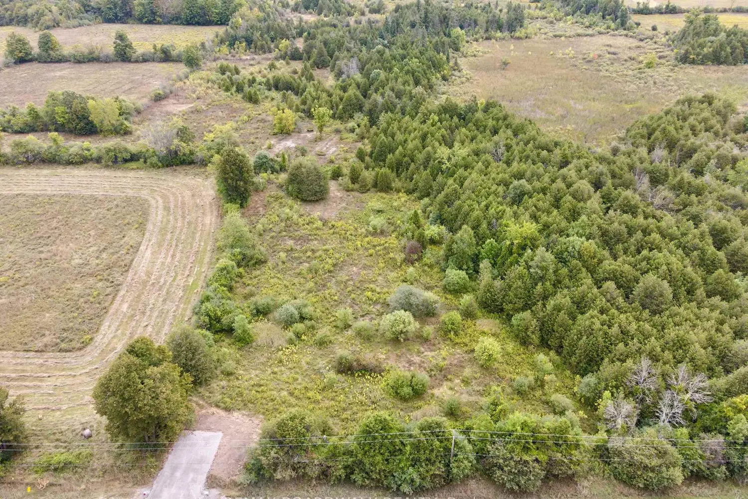 Additional image 2 of 390 Ford Road