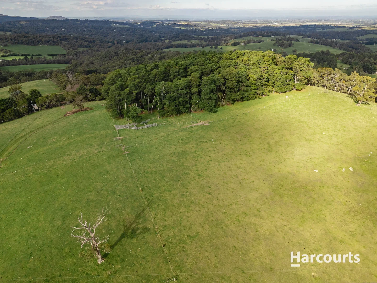 Additional image 9 of 91 Warren Road, Nar Nar Goon North VIC 3812