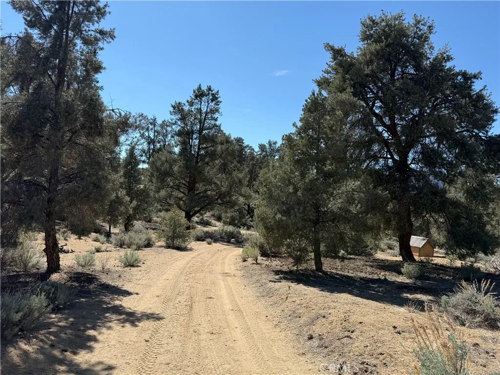 Additional image 65 of 97278 Old Privy, Kennedy Meadows, CA 93527
