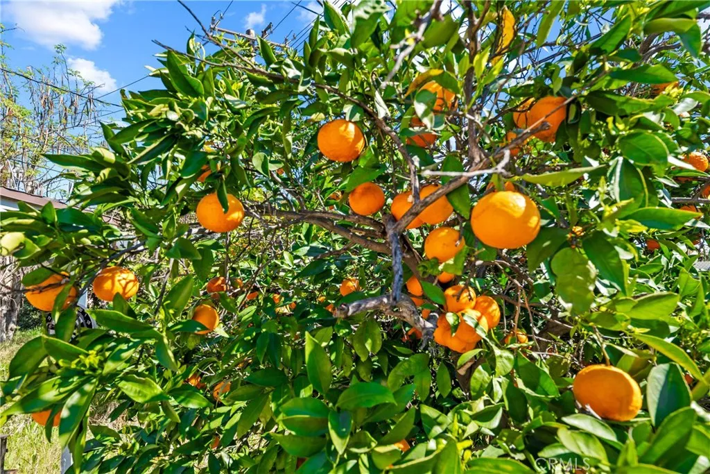 Additional image 41 of 11368 Byways Street, South El Monte, CA 91733