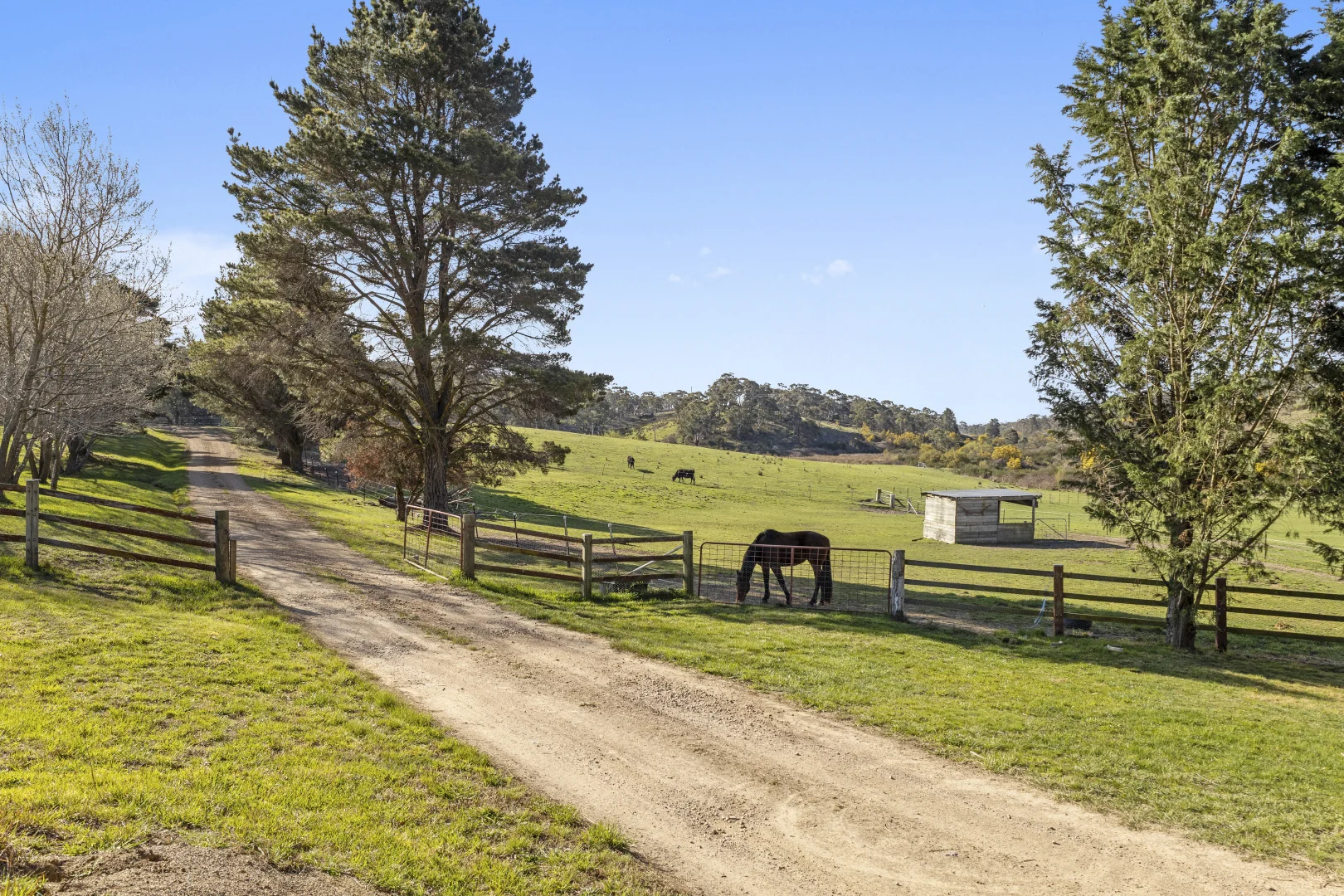Additional image 2 of 3465 Captains Flat Road, Captains Flat NSW 2623