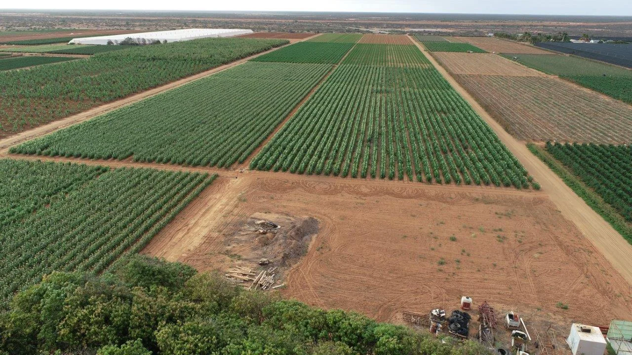 Additional image 2 of 656 South River Road, Carnarvon WA 6701