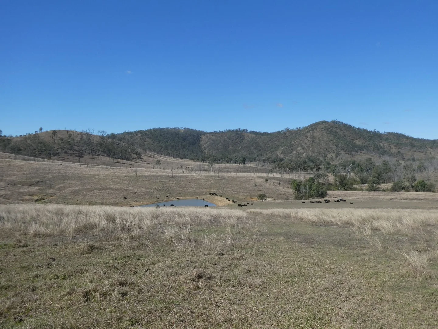 Additional image 13 of 59 Mungy Road, Mungy QLD 4671