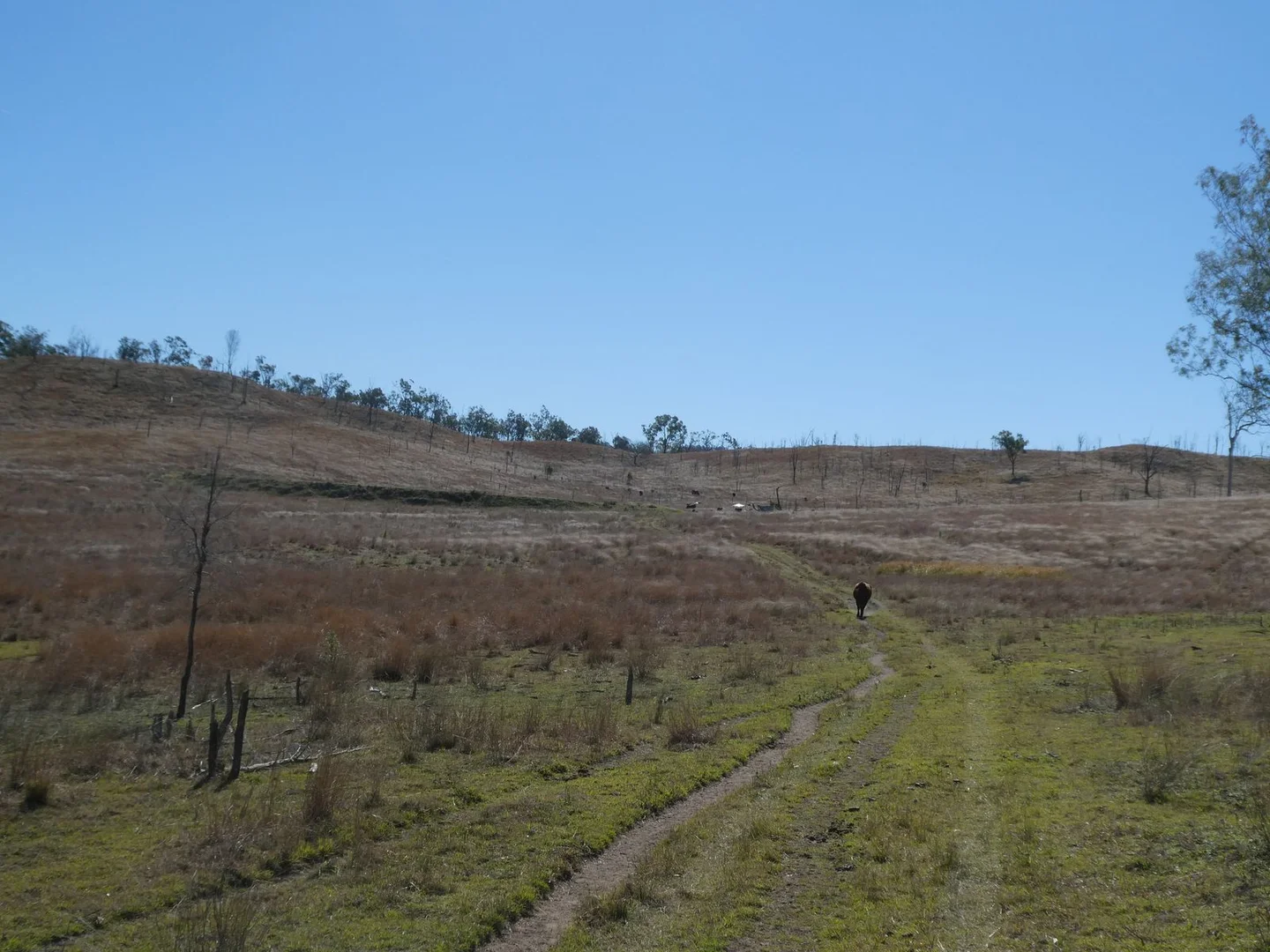 Additional image 11 of 59 Mungy Road, Mungy QLD 4671