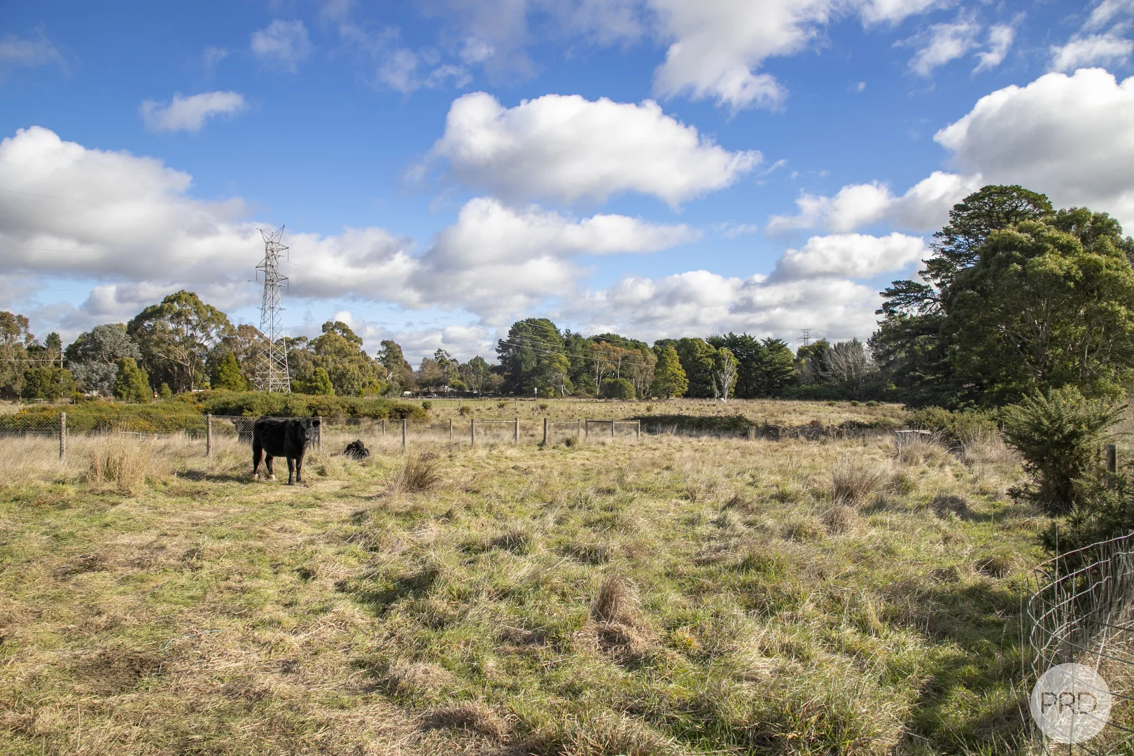 Additional image 4 of 186 Coulsons Road, Warrenheip VIC 3352