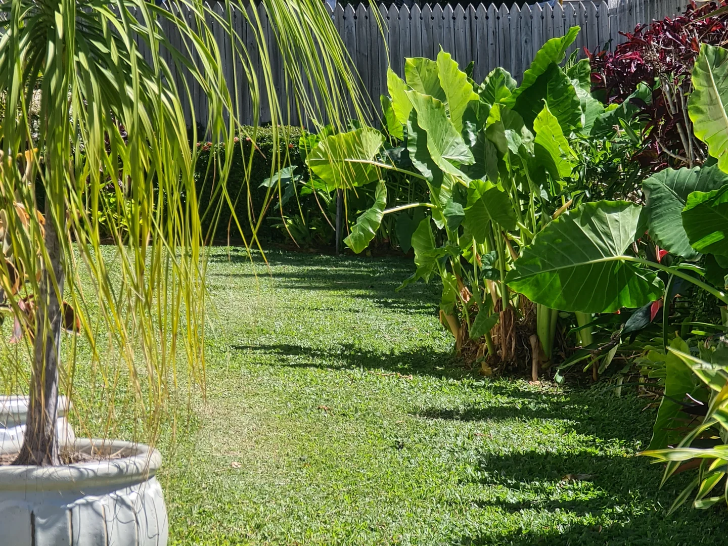 Additional image 5 of 12 Serene Place, Nelly Bay QLD 4819