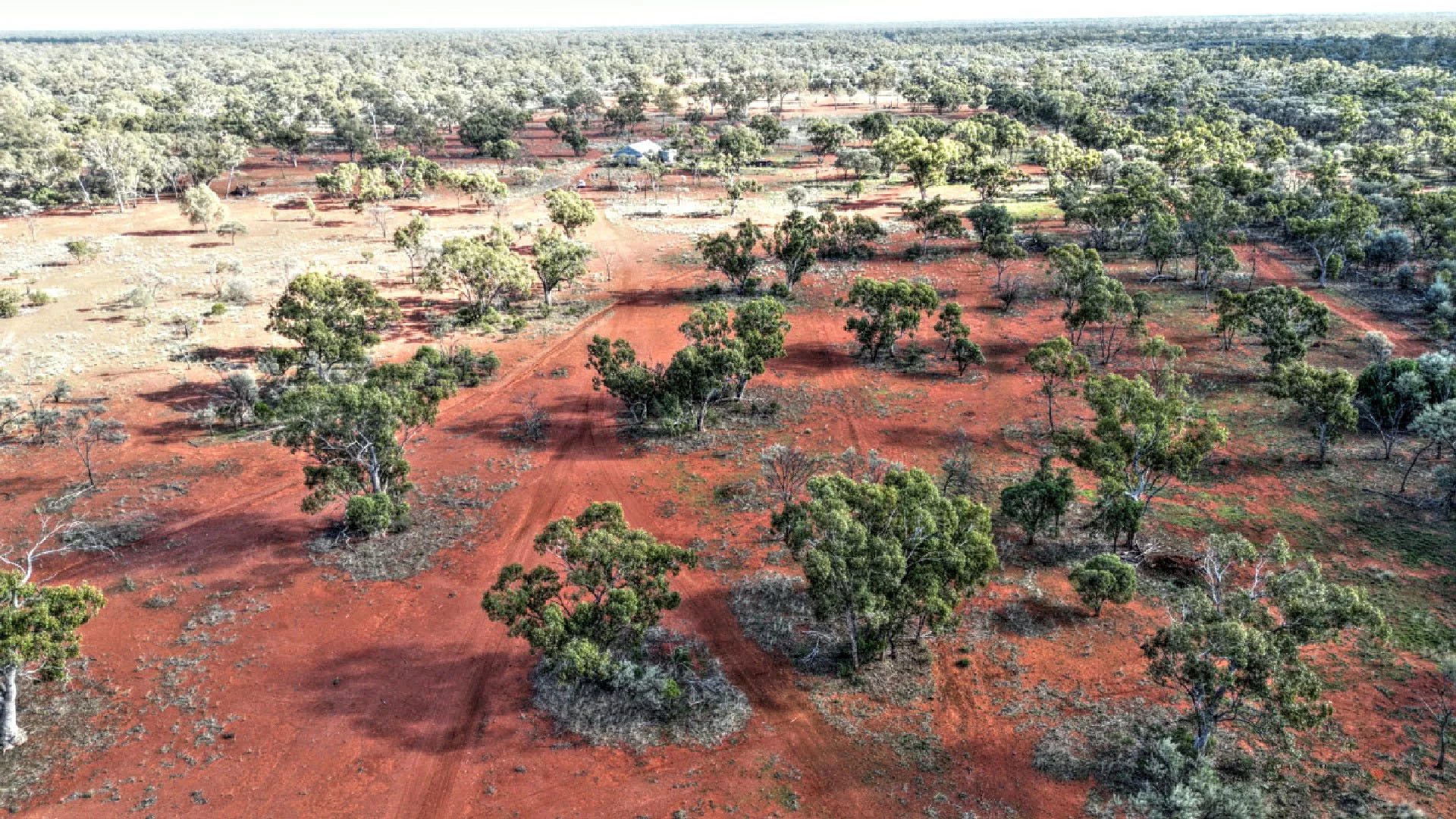 Additional image 5 of "Nardoo" Station 872 Davidson Road, Gunderbooka NSW 2840