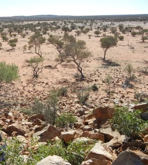 Additional image 5 of Great Northern Highway, Mount Magnet WA 6638