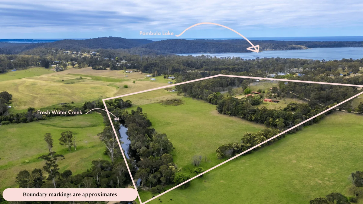 Additional image 10 of 64 Yowaka River Road, Greigs Flat NSW 2549