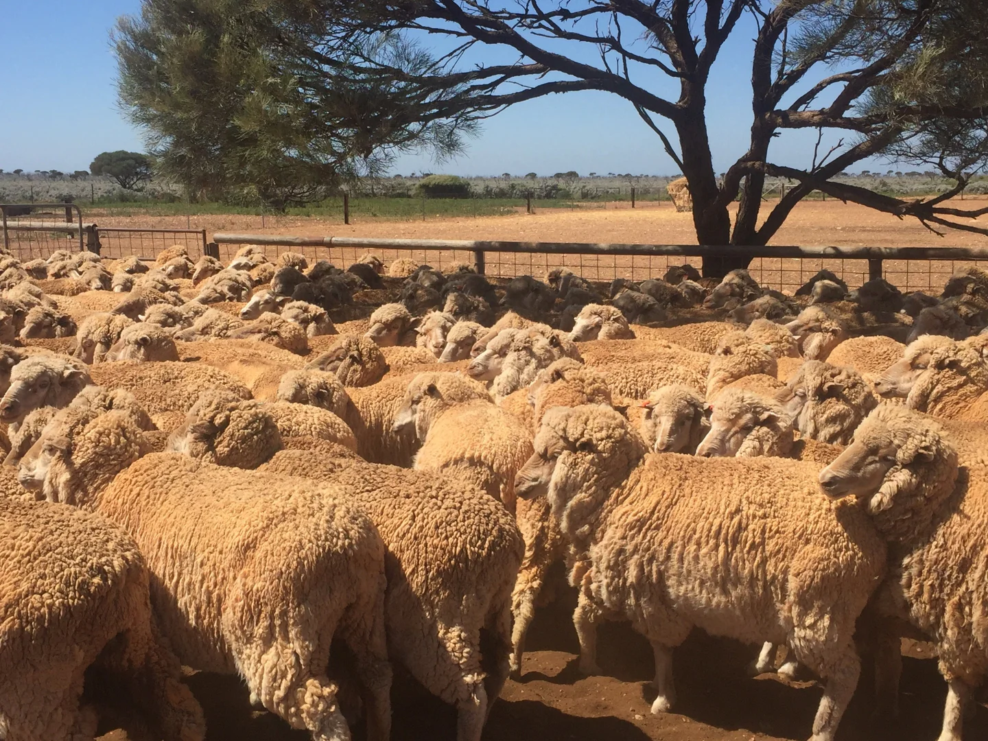 Additional image 5 of Eyre Highway, Dundas WA 6443