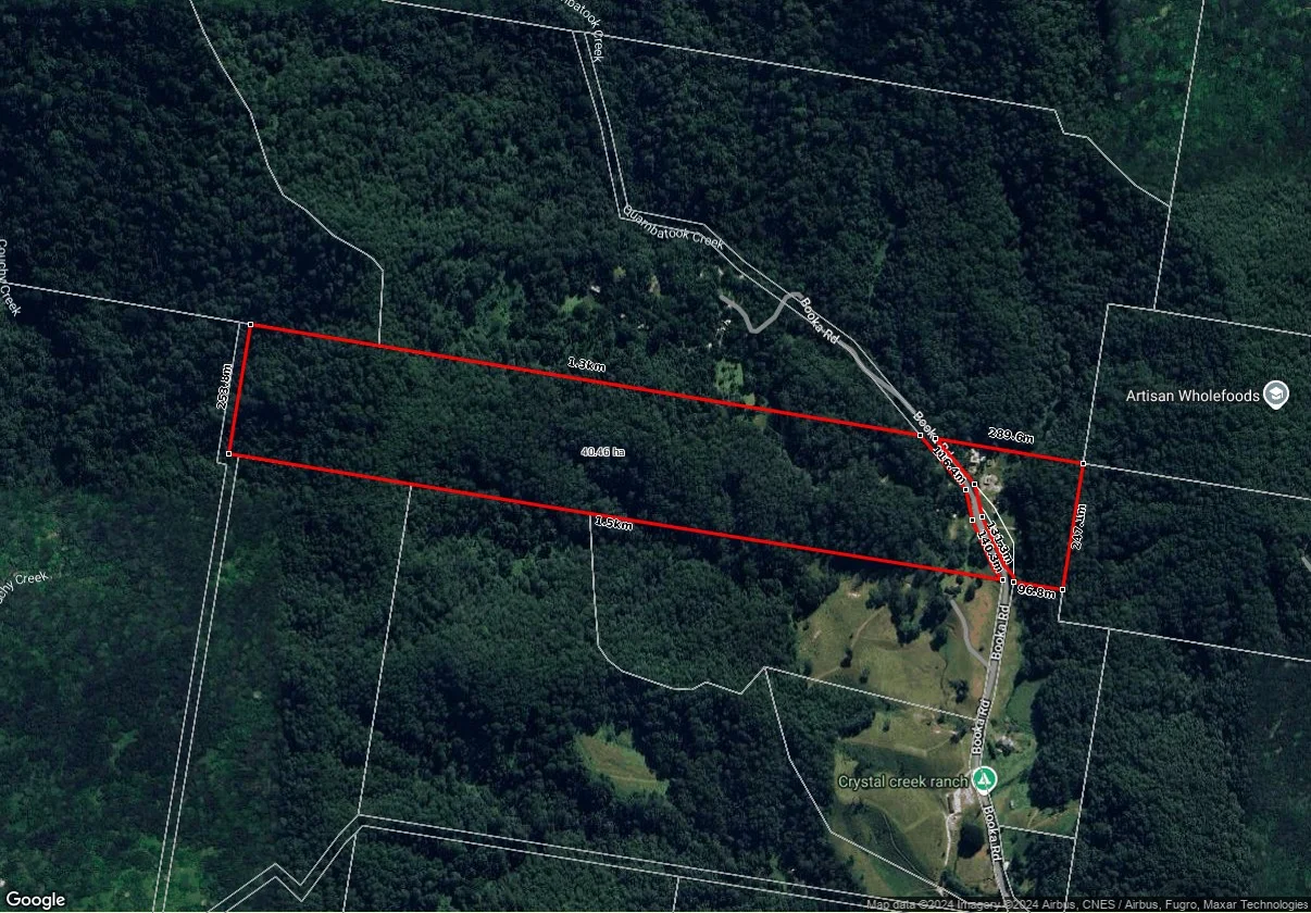 Additional image 15 of 192 Booka Road, Upper Crystal Creek NSW 2484