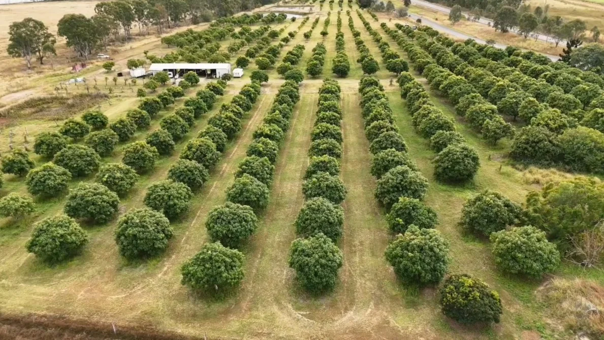 Additional image 4 of 70 Walla Road, Wallaville QLD 4671