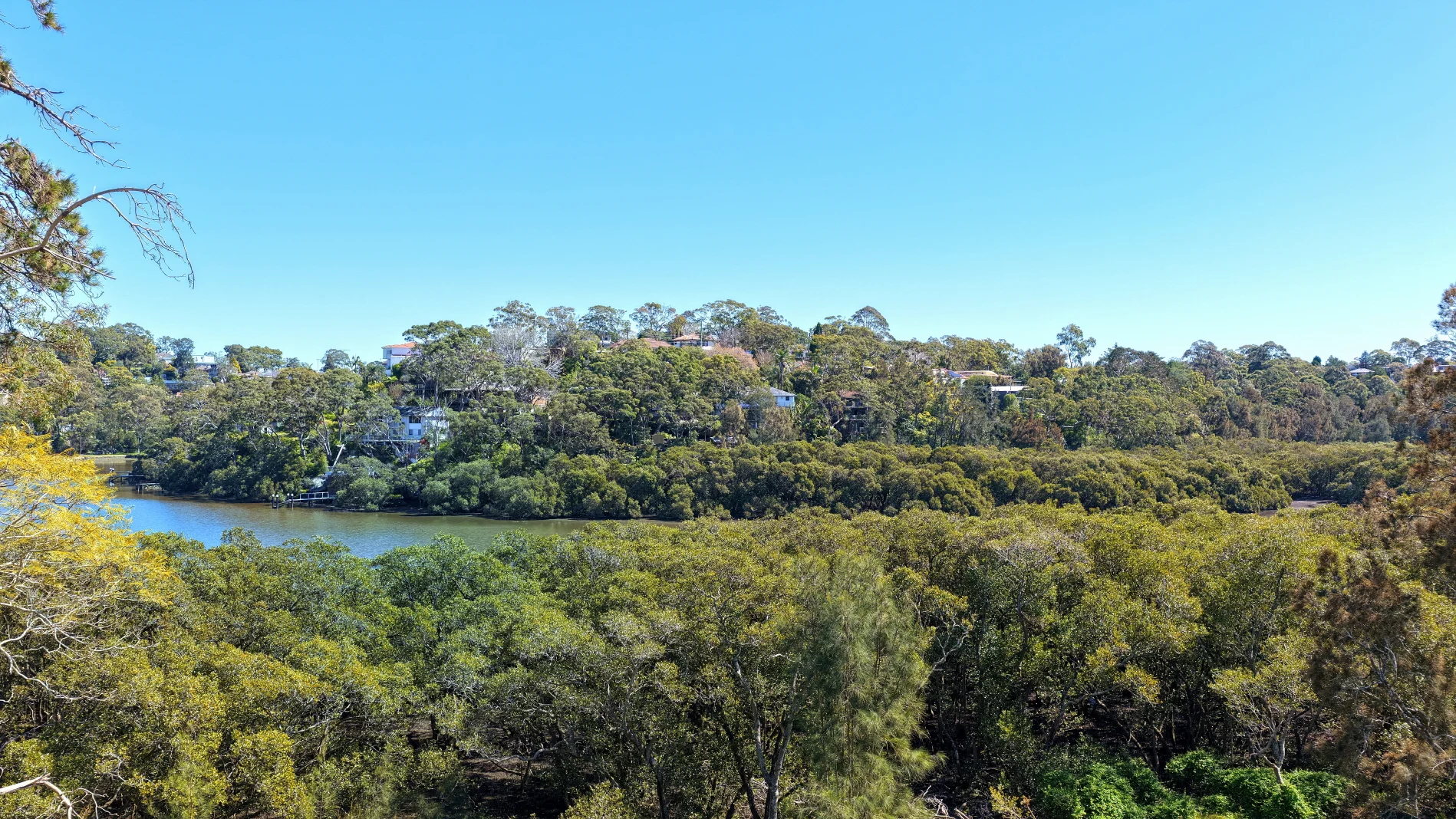 Additional image 5 of 30A Llewellyn Street, Oatley NSW 2223
